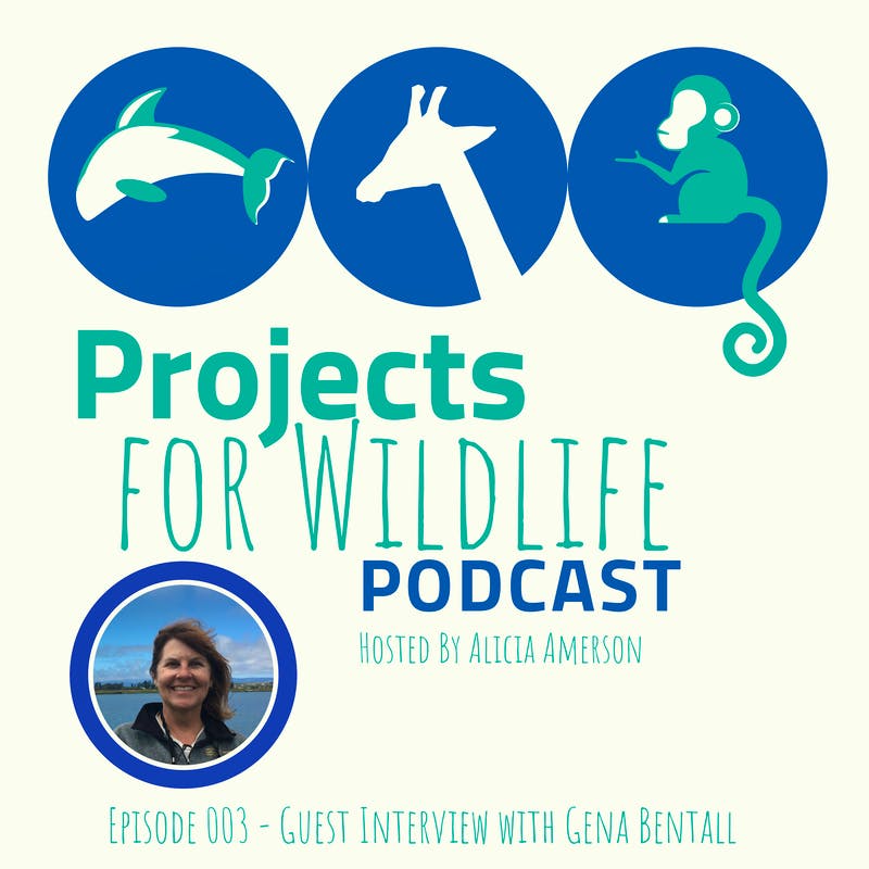 Projects for Wildlife Podcast with Gena Bentall